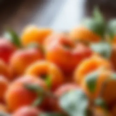 Close-up of apricot varieties showcasing diversity