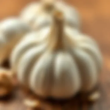 Culinary uses and cultural significance of garlic