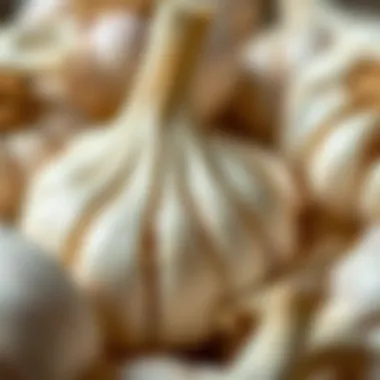 A close-up of garlic cloves highlighting their natural shine and appeal.