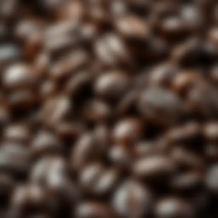 Close-up of coffee beans showcasing their texture and freshness