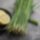 Fresh lemongrass stalks showcasing vibrant green color