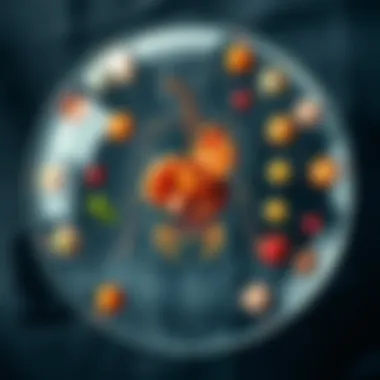 A visual representation of metabolic processes in the body