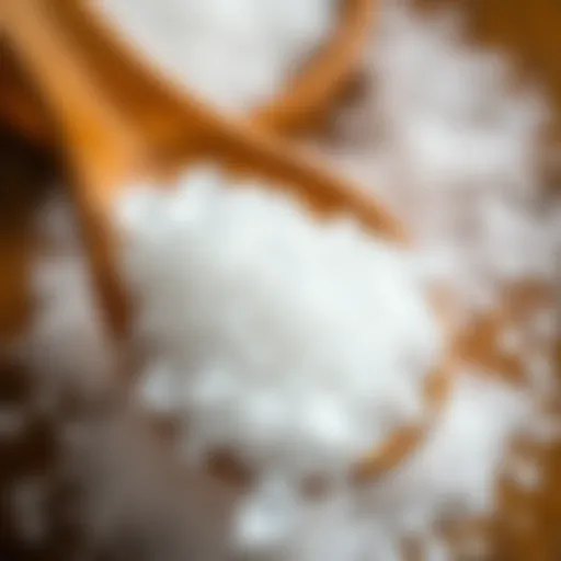 A close-up of sugar crystals on a wooden spoon